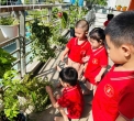 Mầm Non Thỏ Trắng