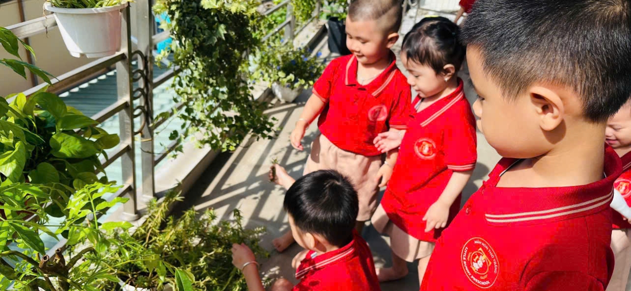 Các bé tại trường mầm non Thỏ Trắng